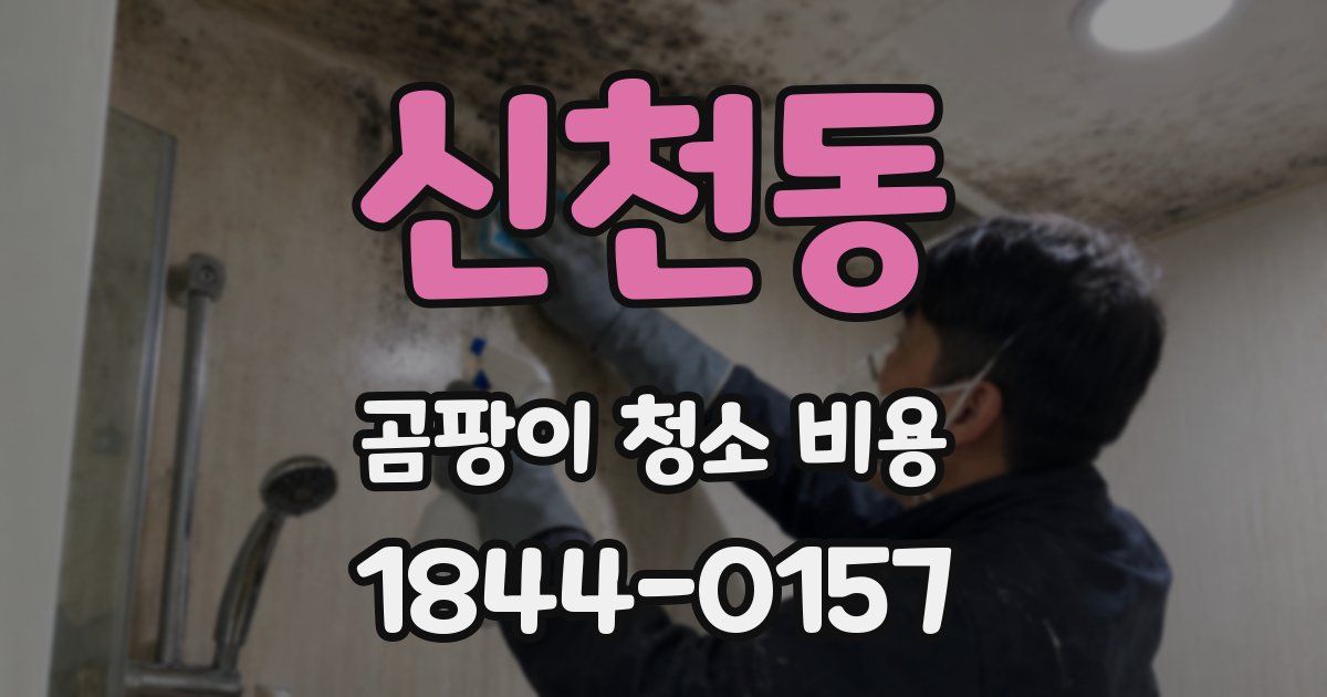 신천동 곰팡이 청소 비용