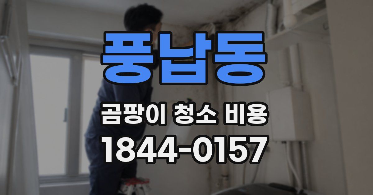 풍납동 곰팡이 청소 비용