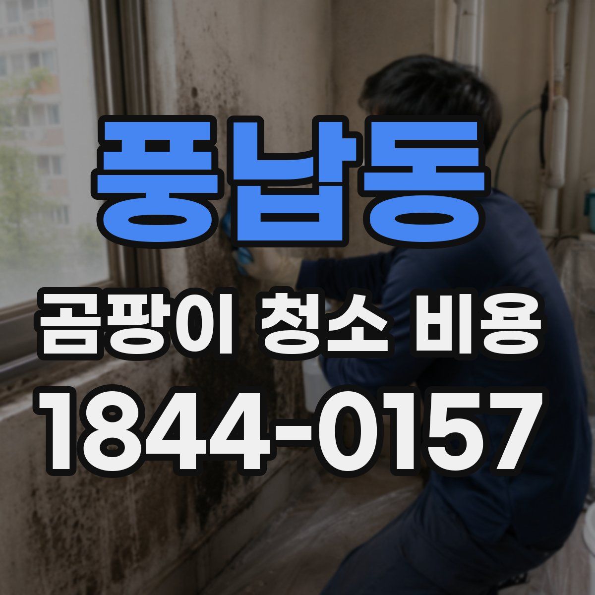 풍납동 곰팡이 청소 비용