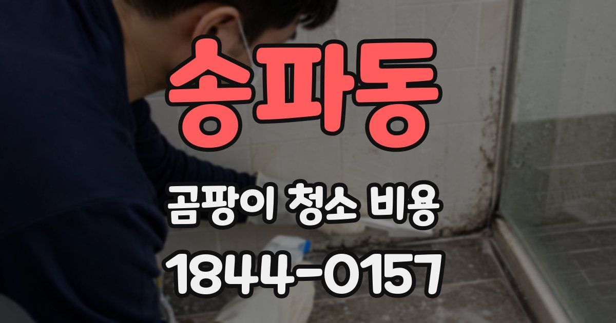 송파동 곰팡이 청소 비용