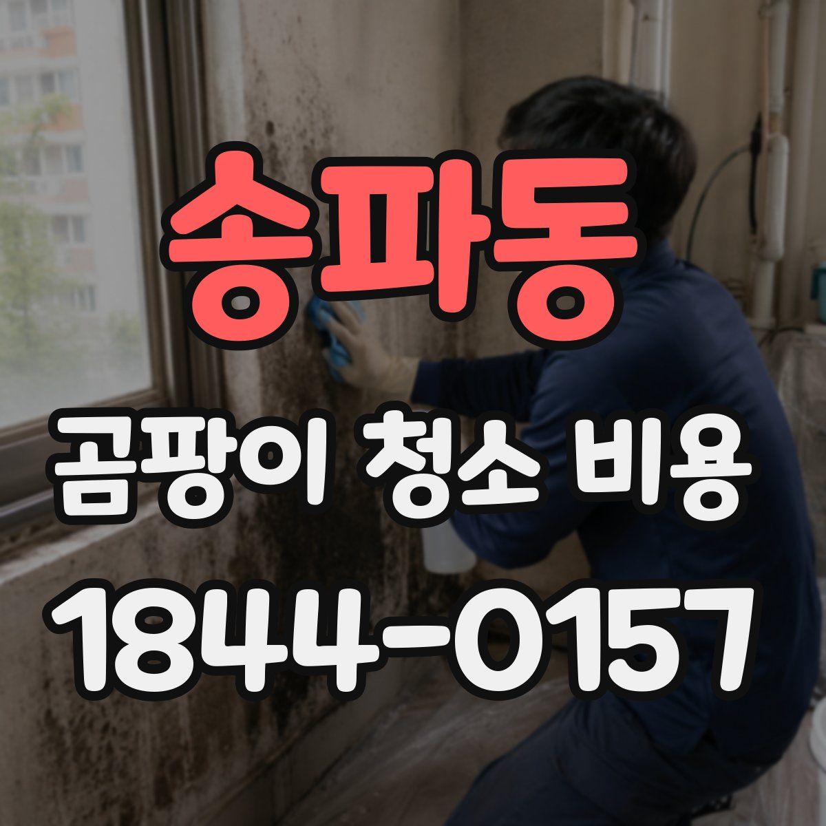 송파동 곰팡이 청소 비용
