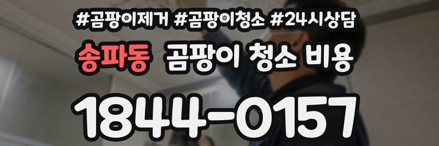 송파동 곰팡이 청소 비용