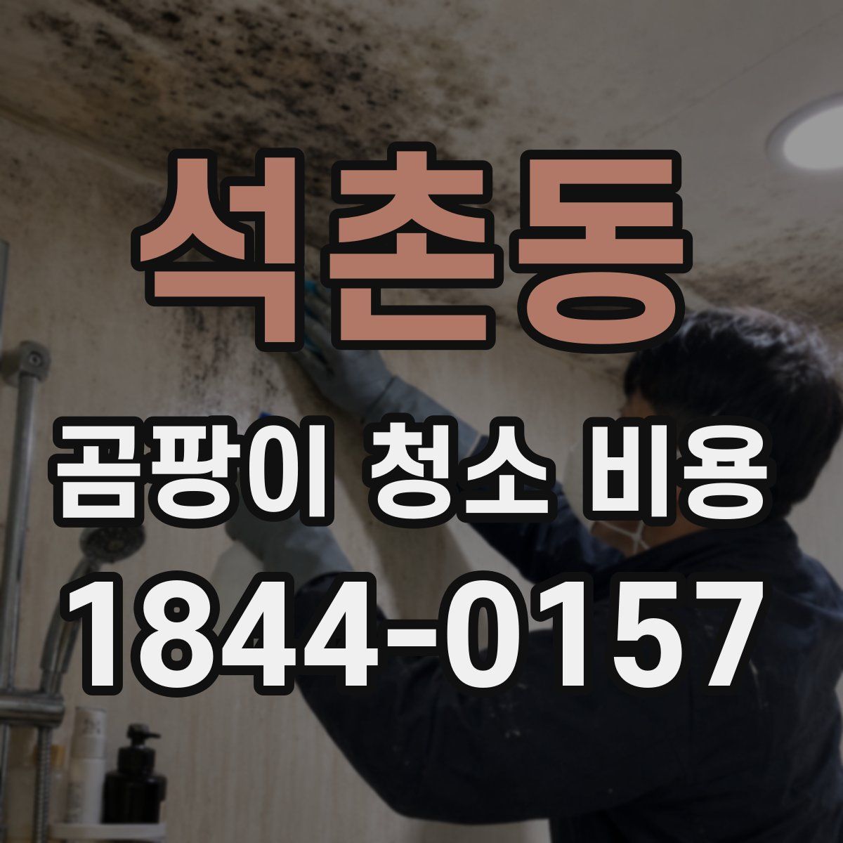 석촌동 곰팡이 청소 비용