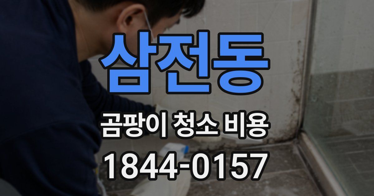 삼전동 곰팡이 청소 비용
