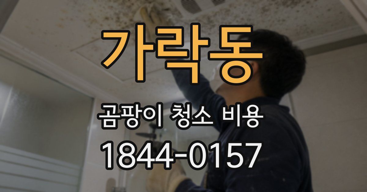 가락동 곰팡이 청소 비용