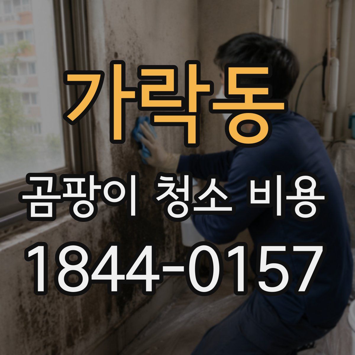 가락동 곰팡이 청소 비용