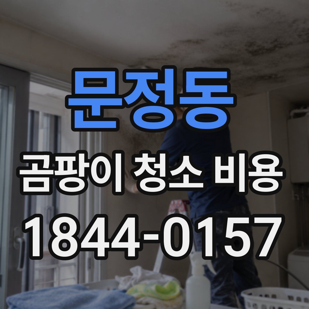 문정동 곰팡이 청소 비용