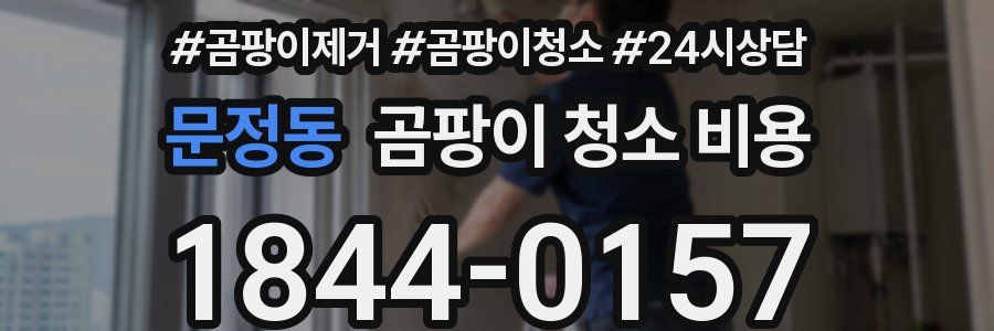 문정동 곰팡이 청소 비용