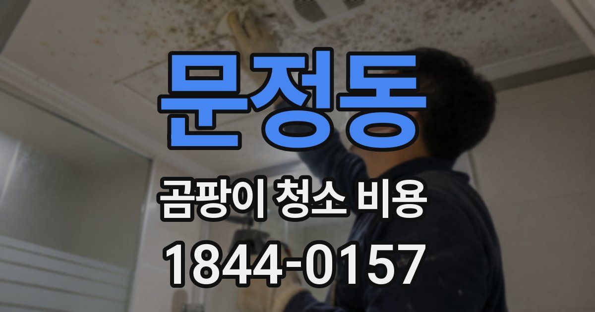 문정동 곰팡이 청소 비용