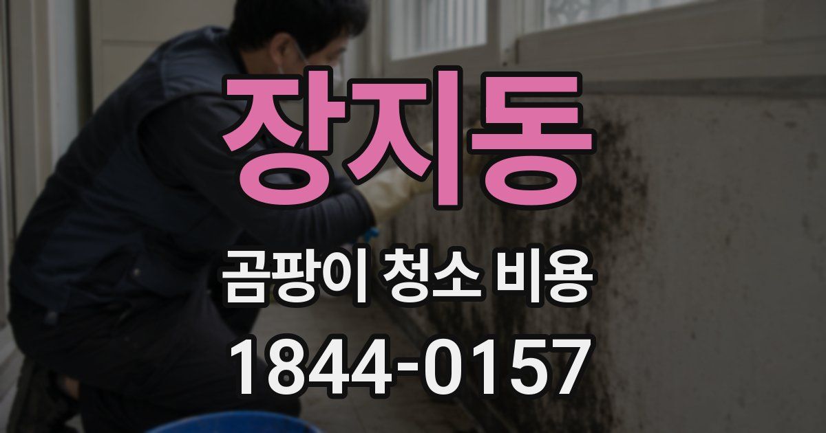장지동 곰팡이 청소 비용