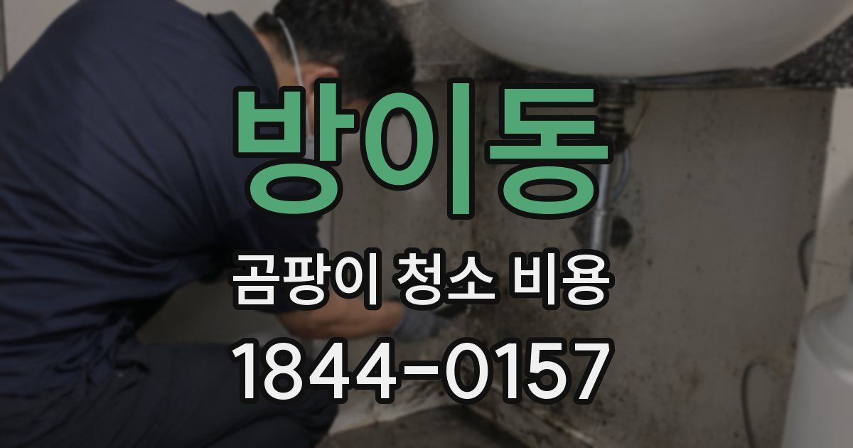 방이동 곰팡이 청소 비용