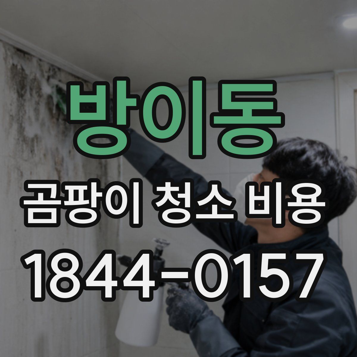 방이동 곰팡이 청소 비용