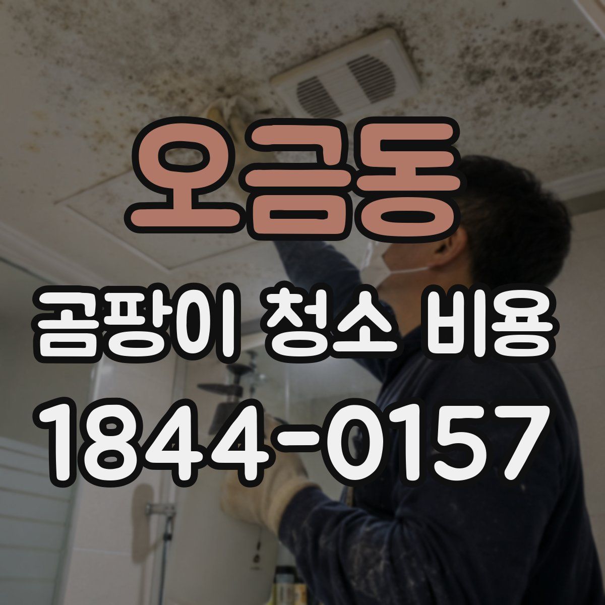 오금동 곰팡이 청소 비용