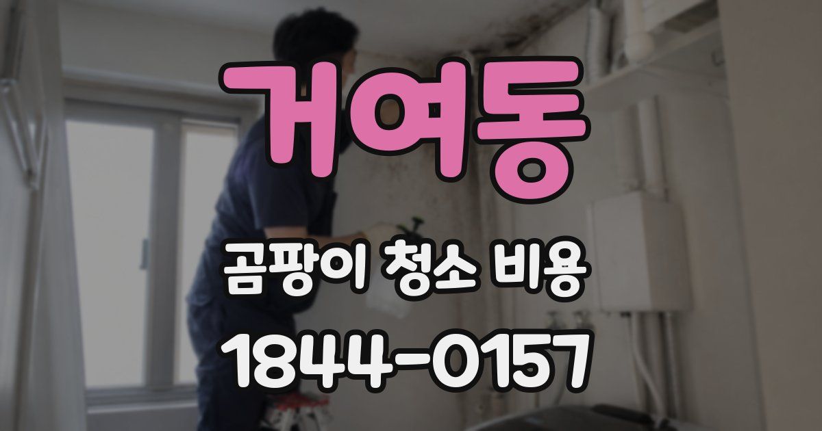 거여동 곰팡이 청소 비용