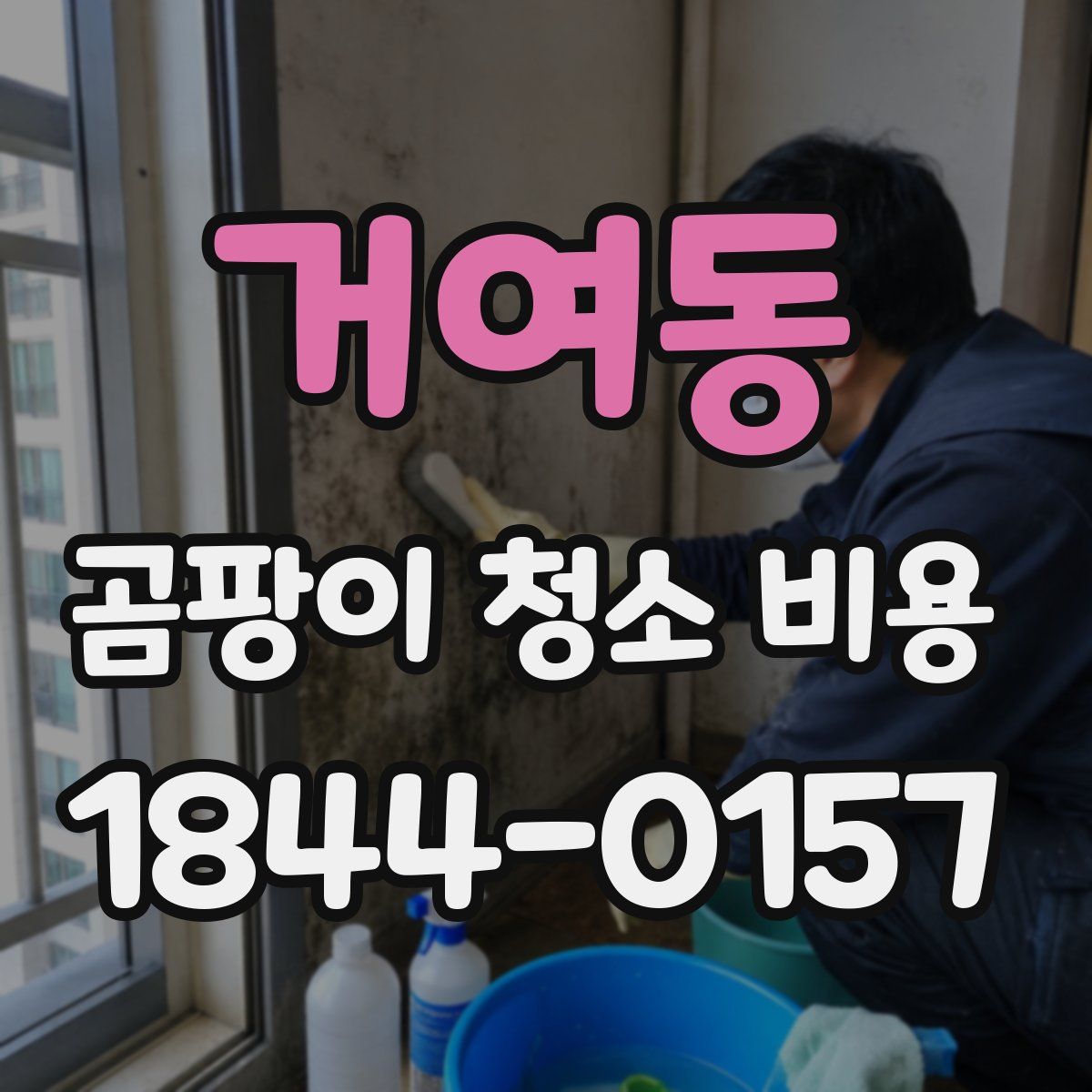 거여동 곰팡이 청소 비용