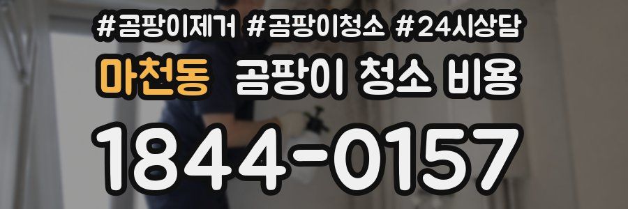 마천동 곰팡이 청소 비용