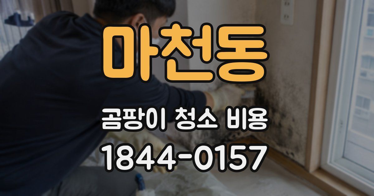 마천동 곰팡이 청소 비용