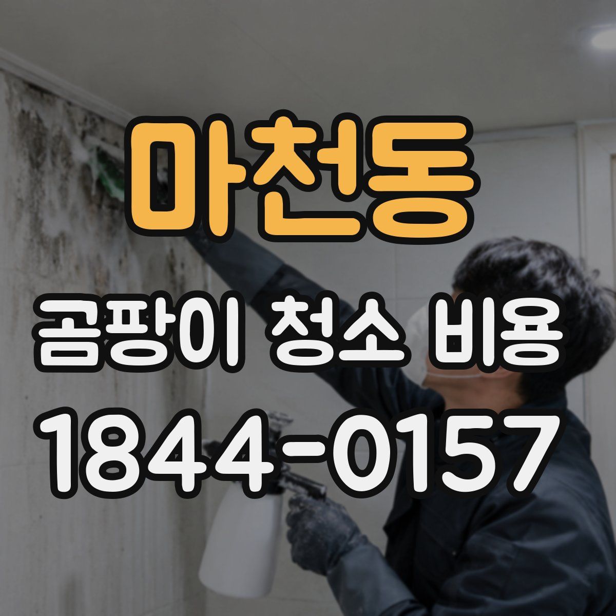 마천동 곰팡이 청소 비용