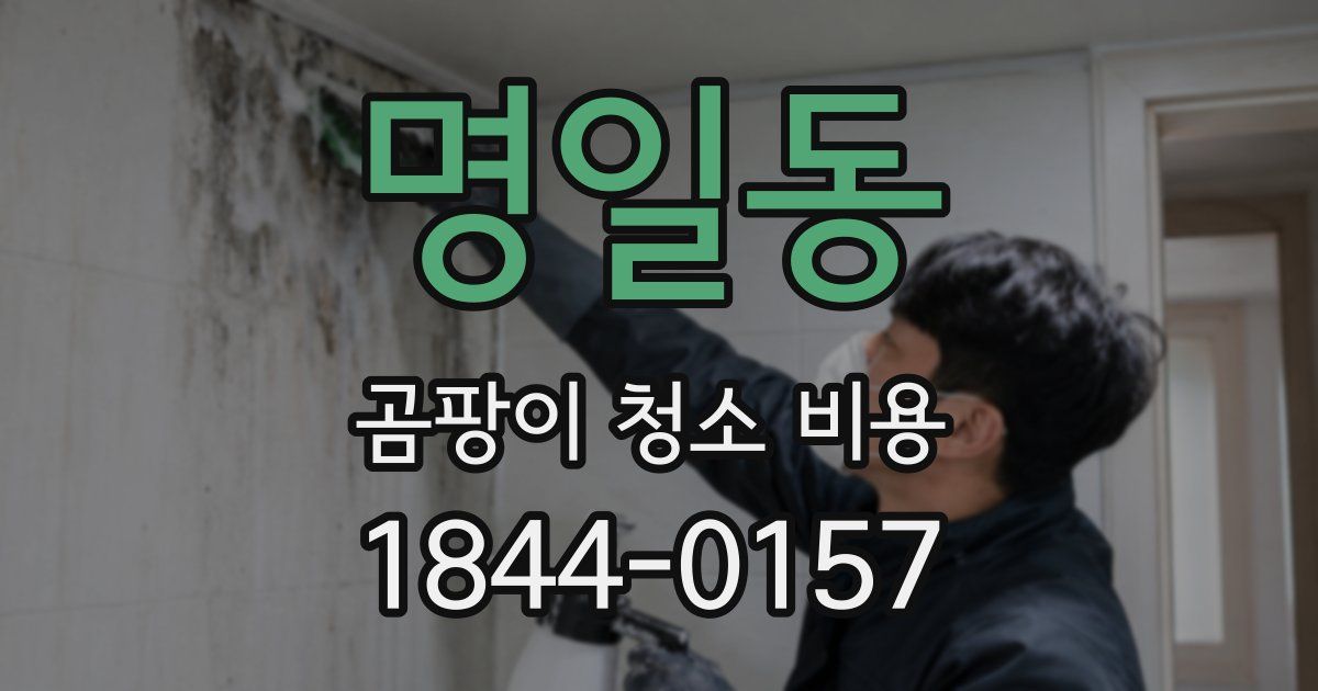 명일동 곰팡이 청소 비용