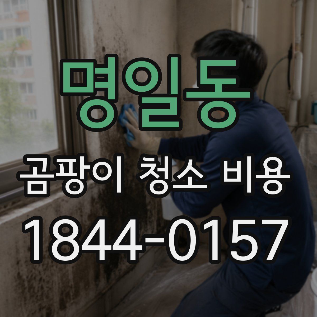 명일동 곰팡이 청소 비용