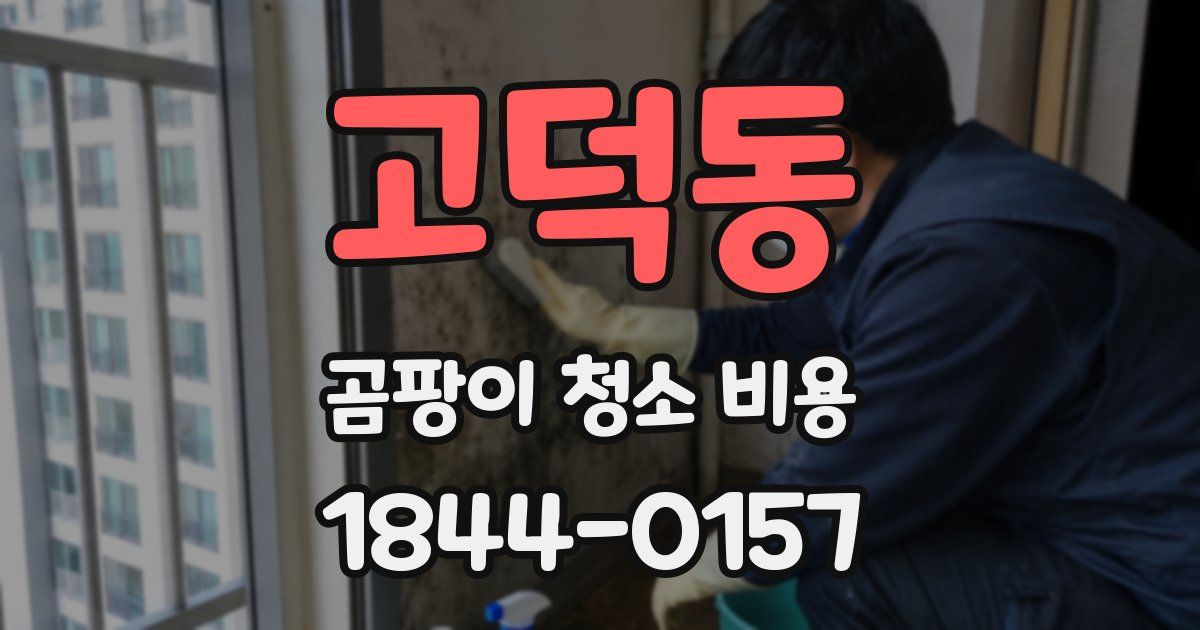고덕동 곰팡이 청소 비용
