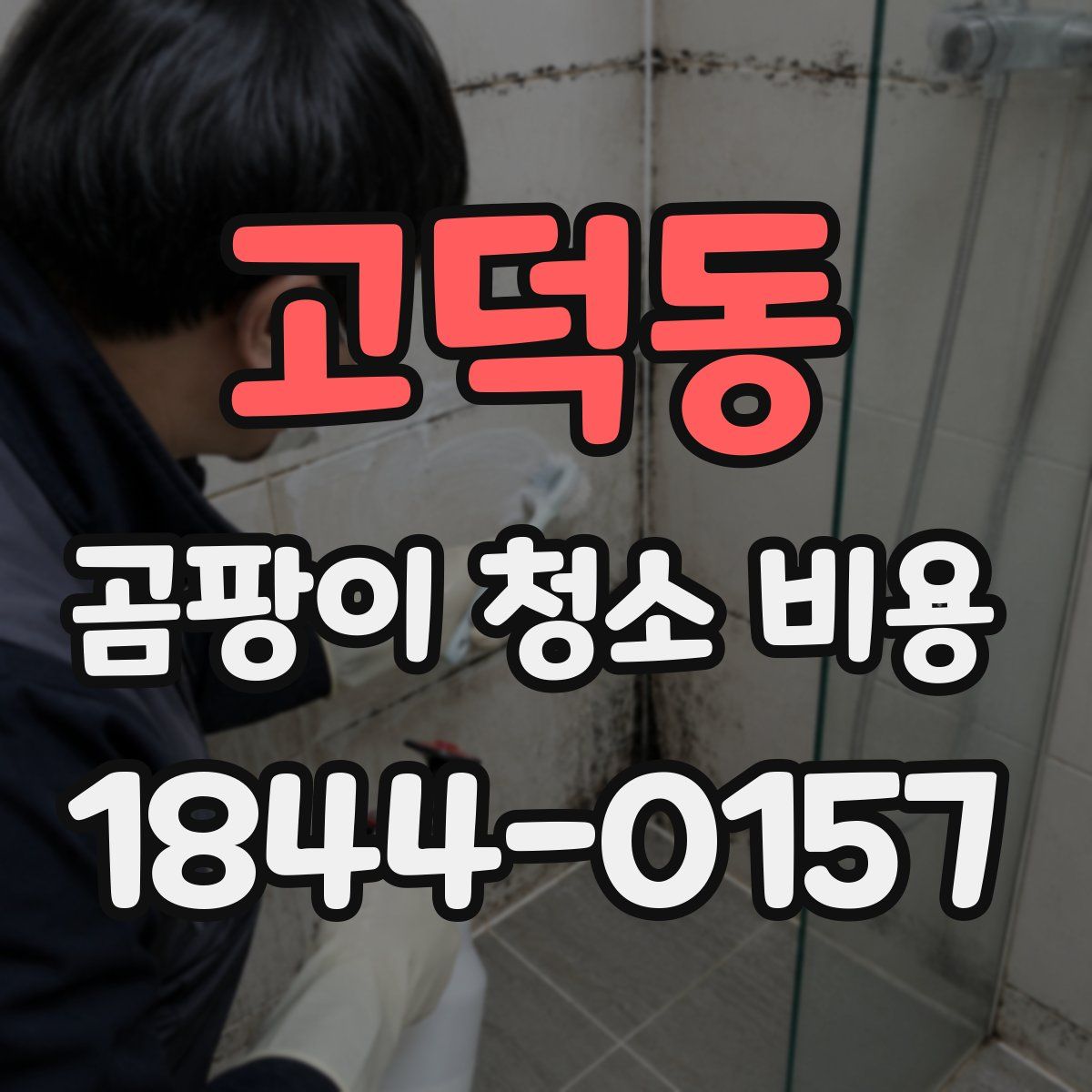 고덕동 곰팡이 청소 비용