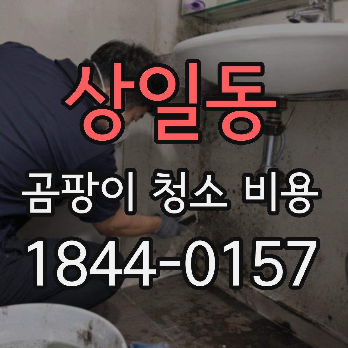 상일동 곰팡이 청소 비용