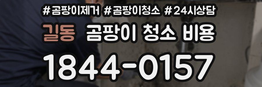 길동 곰팡이 청소 비용