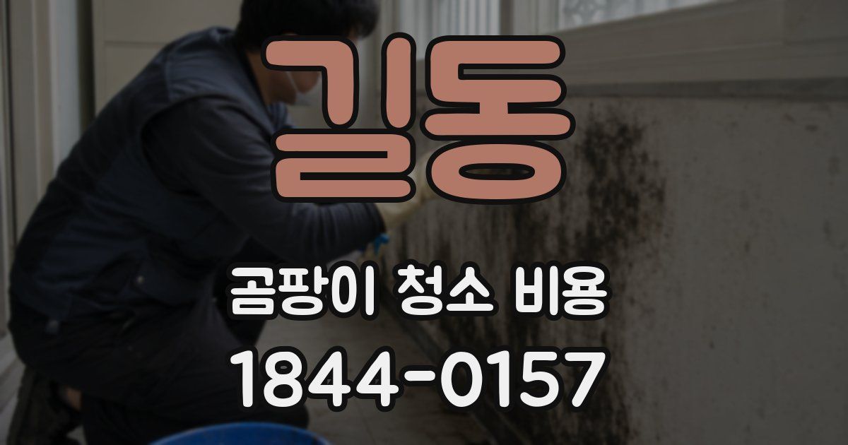 길동 곰팡이 청소 비용