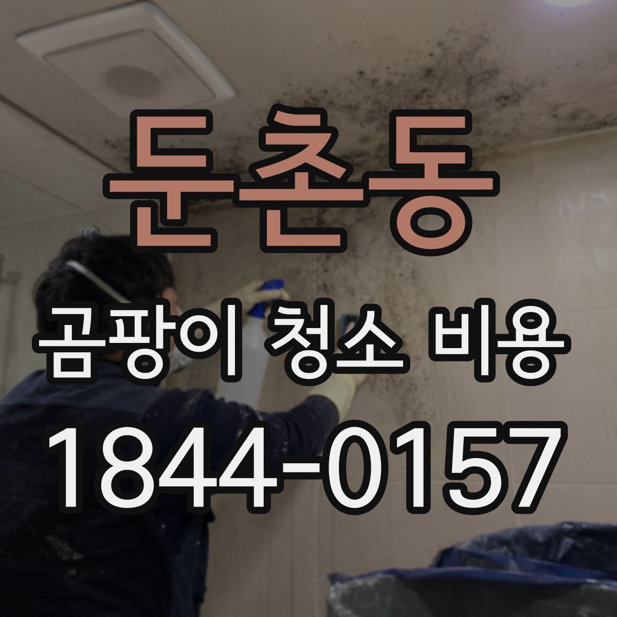 둔촌동 곰팡이 청소 비용