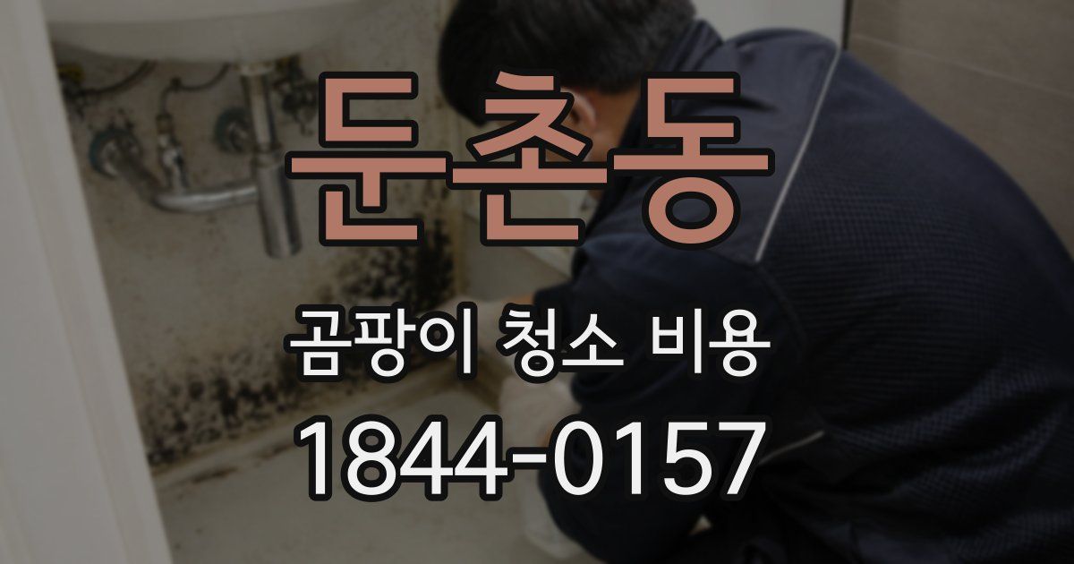 둔촌동 곰팡이 청소 비용