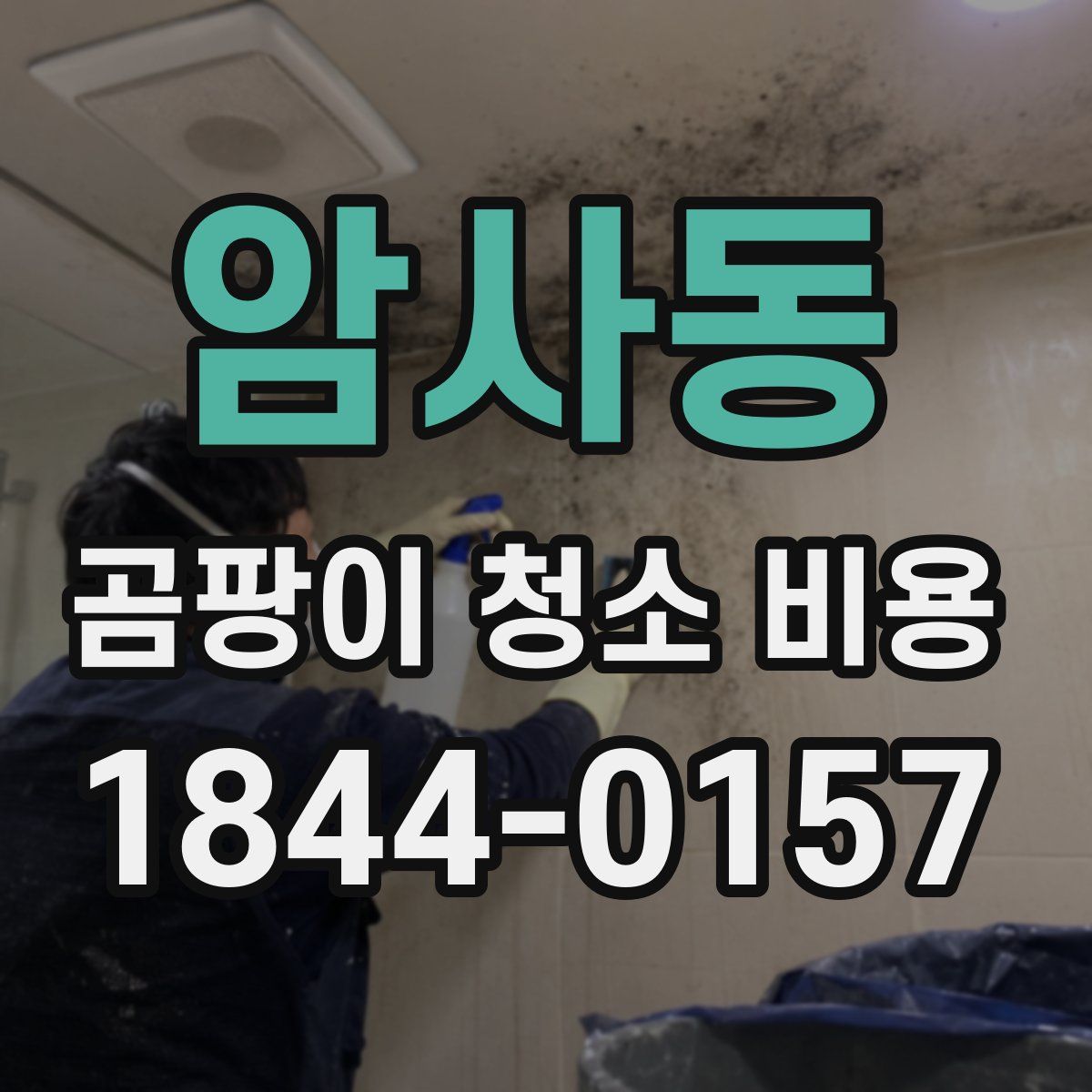 암사동 곰팡이 청소 비용