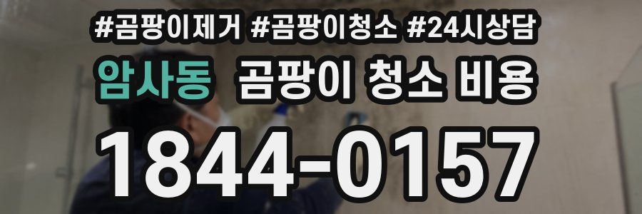 암사동 곰팡이 청소 비용