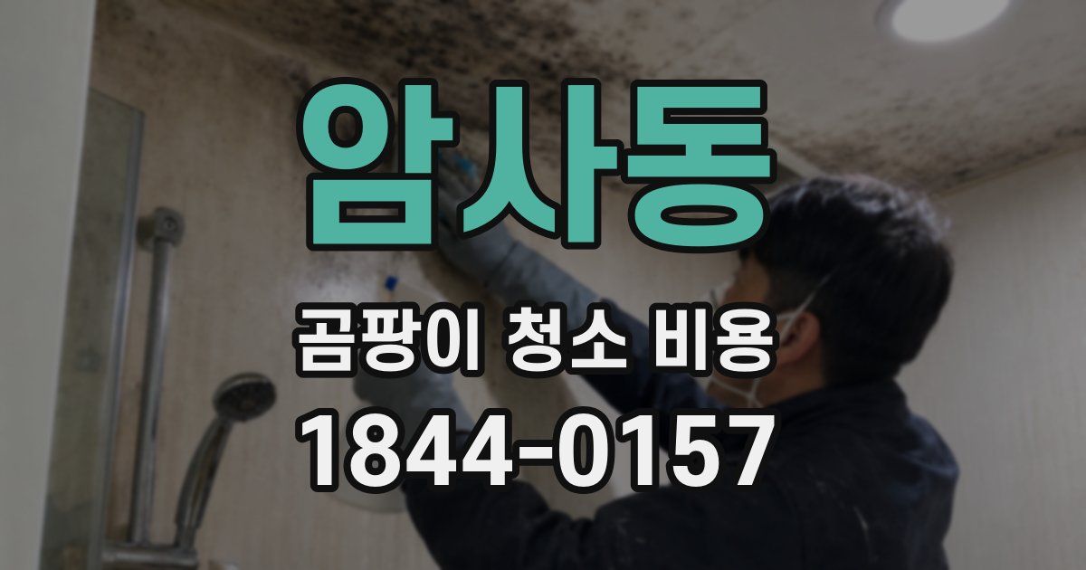 암사동 곰팡이 청소 비용