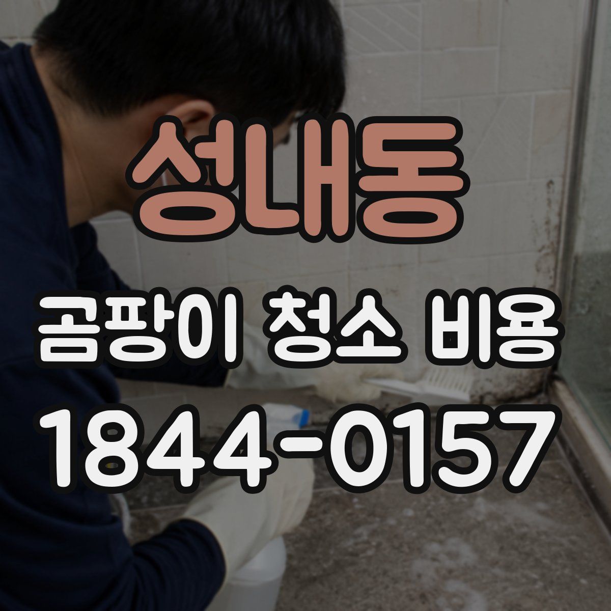 성내동 곰팡이 청소 비용