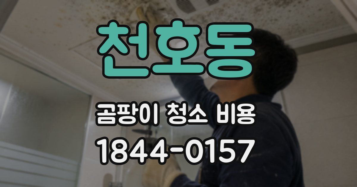천호동 곰팡이 청소 비용
