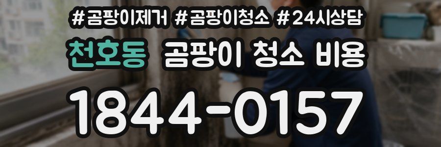 천호동 곰팡이 청소 비용