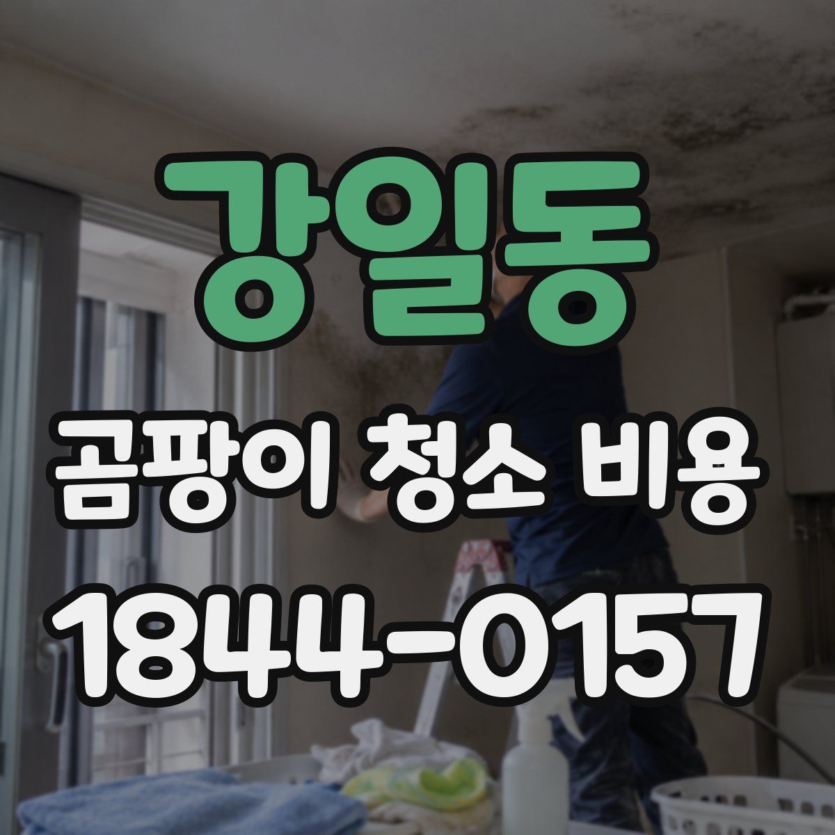강일동 곰팡이 청소 비용
