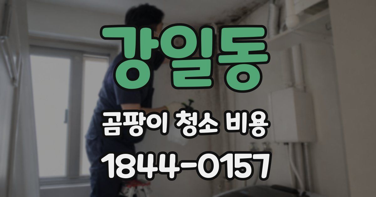 강일동 곰팡이 청소 비용
