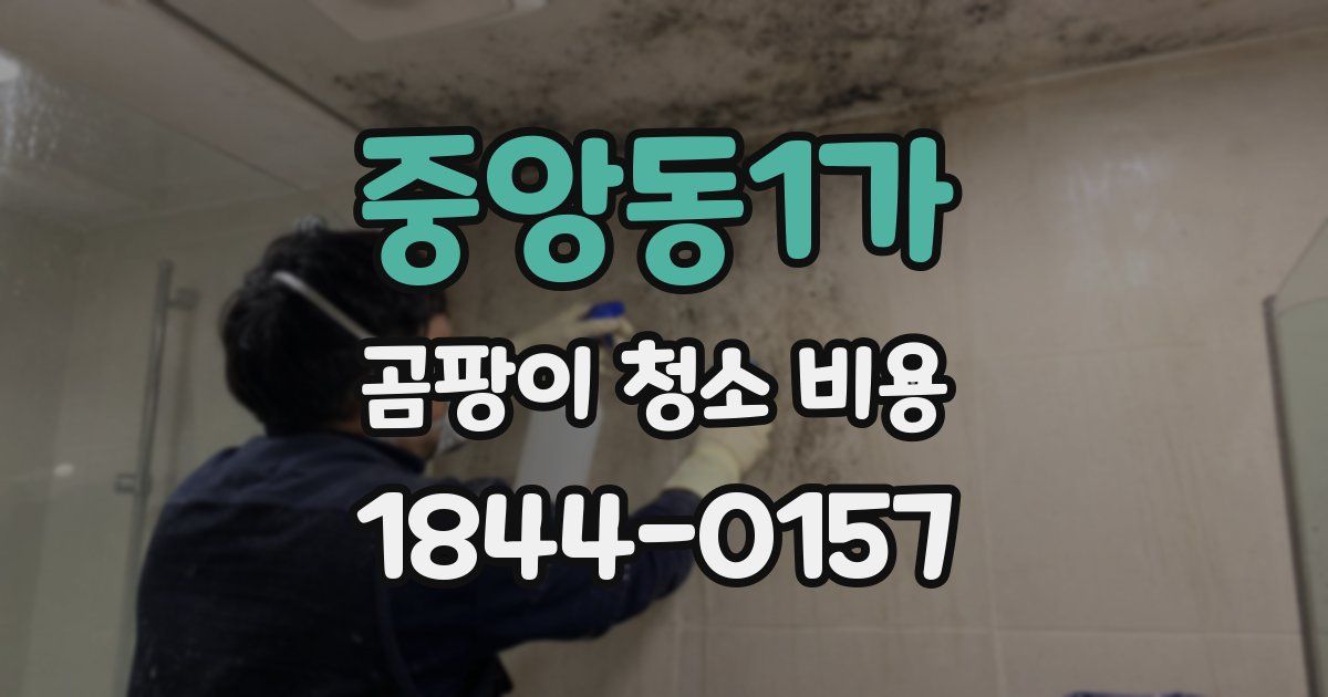 중앙동1가 곰팡이 청소 비용