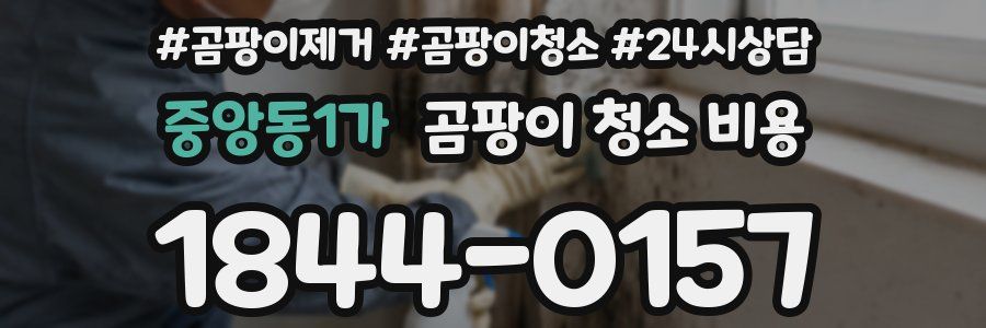 중앙동1가 곰팡이 청소 비용