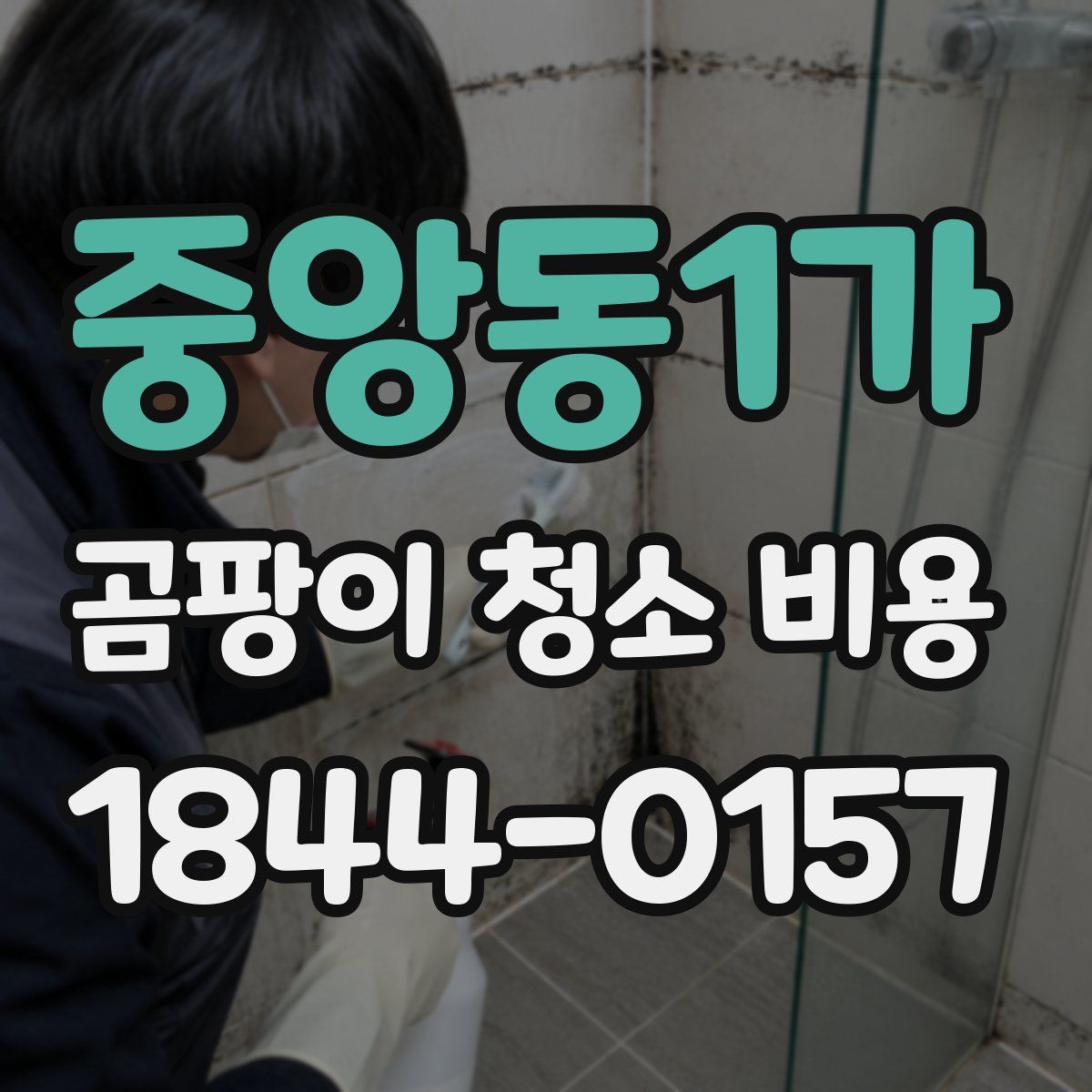 중앙동1가 곰팡이 청소 비용