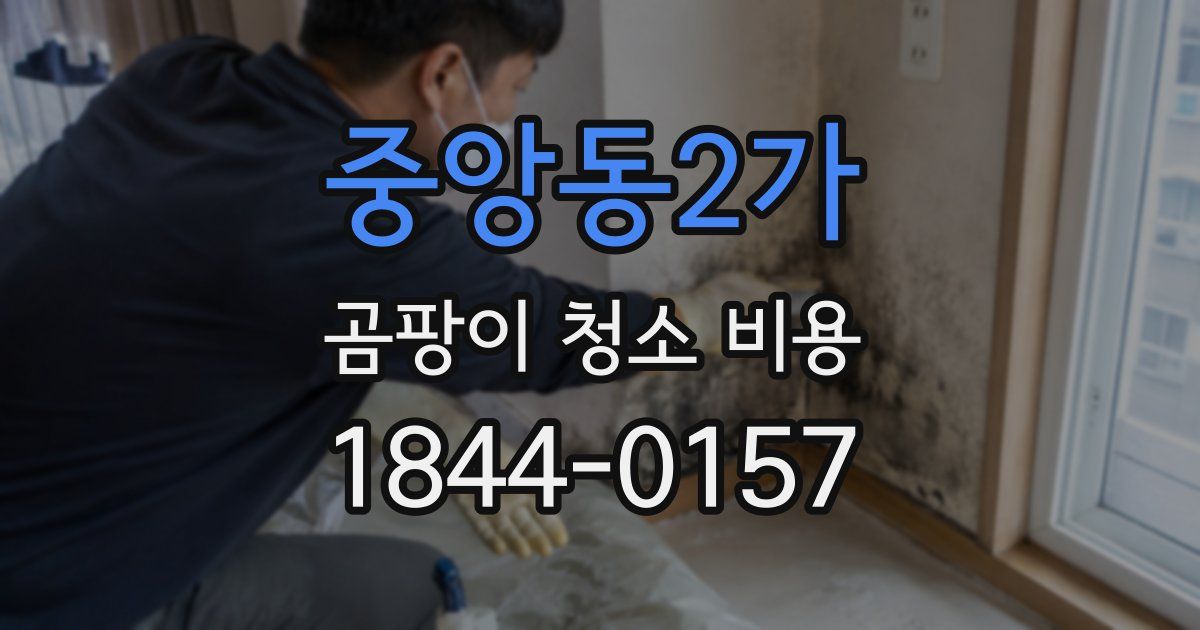 중앙동2가 곰팡이 청소 비용