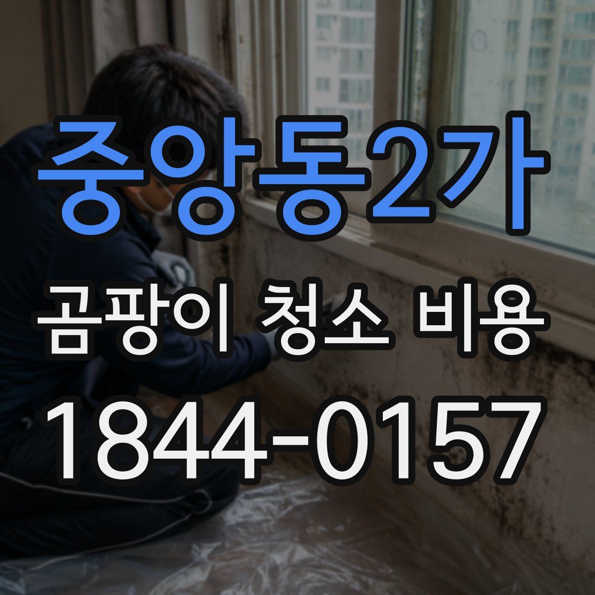 중앙동2가 곰팡이 청소 비용