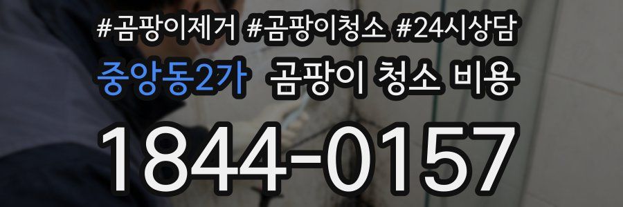 중앙동2가 곰팡이 청소 비용
