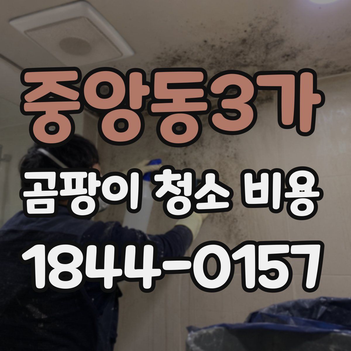 중앙동3가 곰팡이 청소 비용