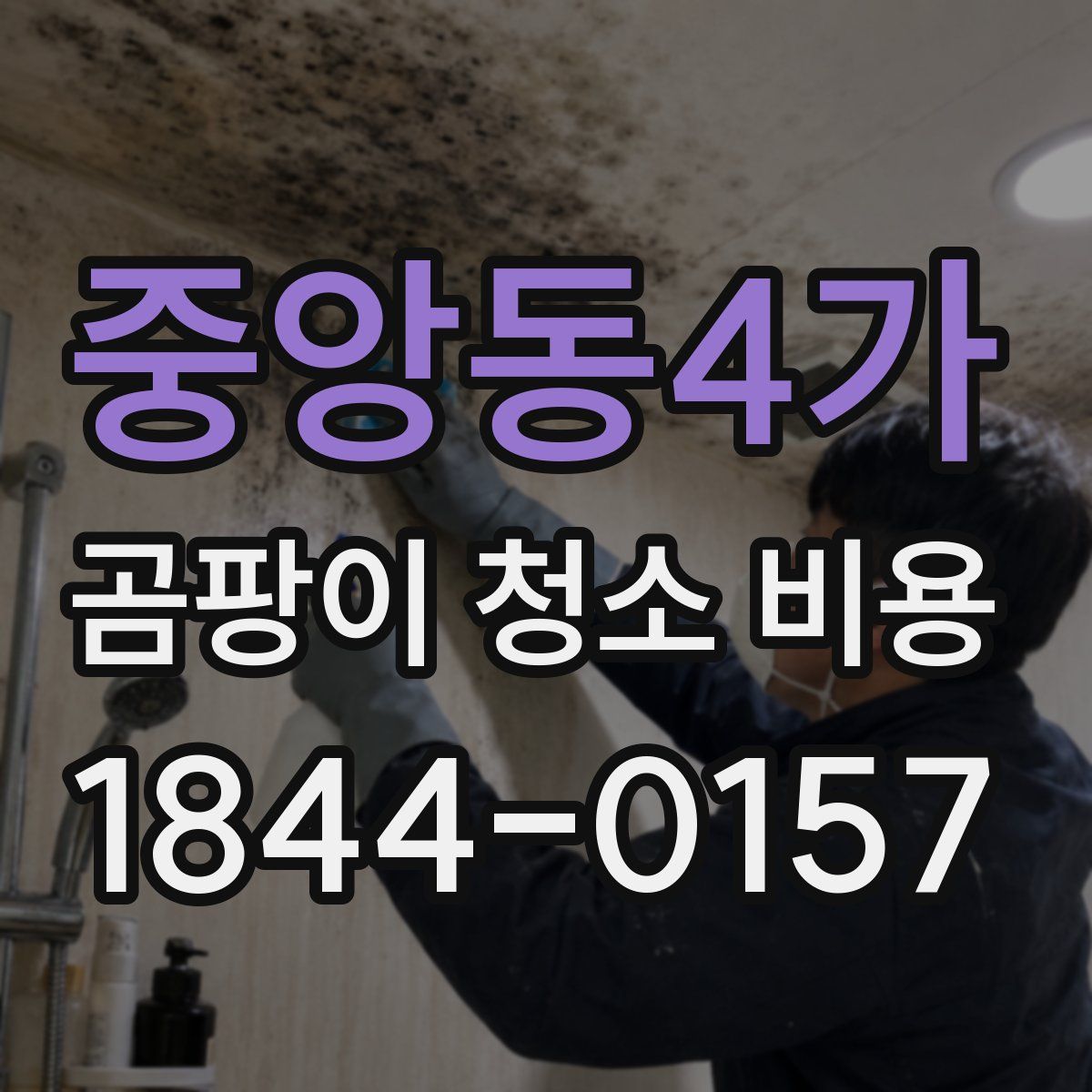 중앙동4가 곰팡이 청소 비용