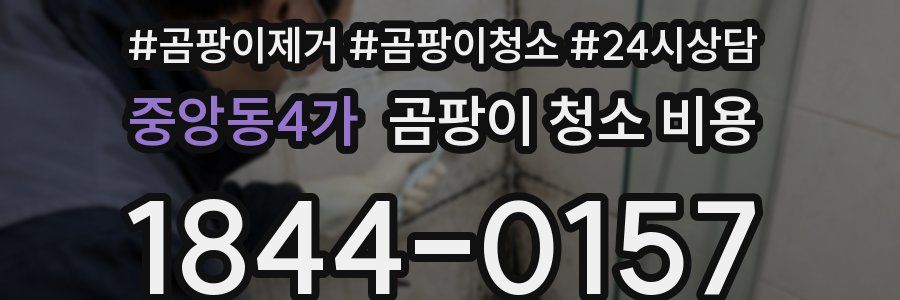 중앙동4가 곰팡이 청소 비용