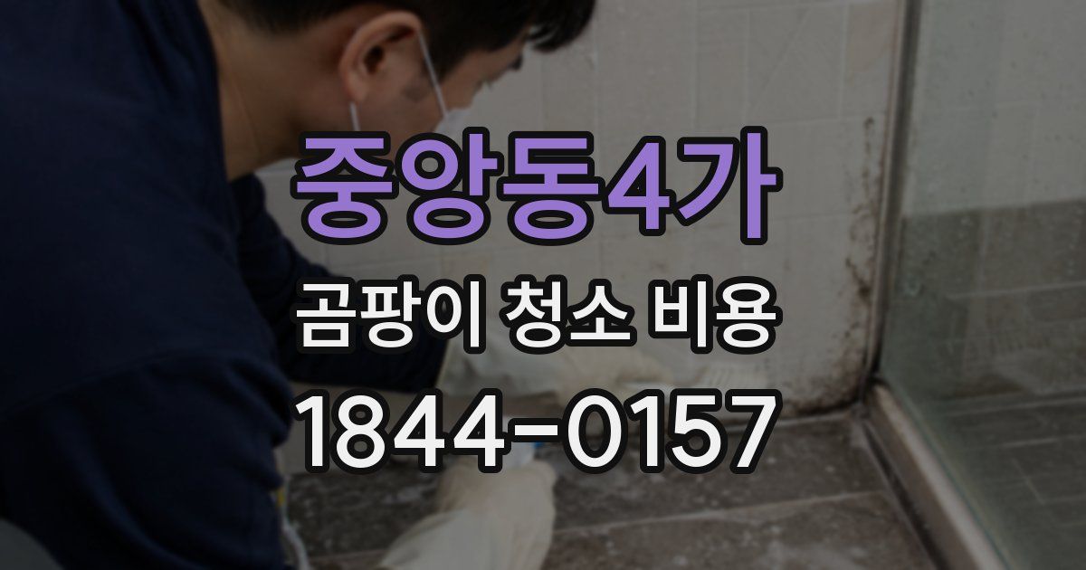 중앙동4가 곰팡이 청소 비용