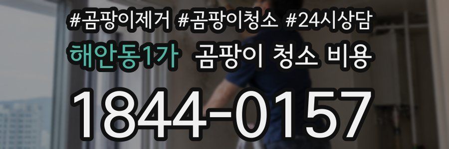 해안동1가 곰팡이 청소 비용